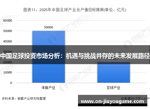 中国足球投资市场分析：机遇与挑战并存的未来发展路径
