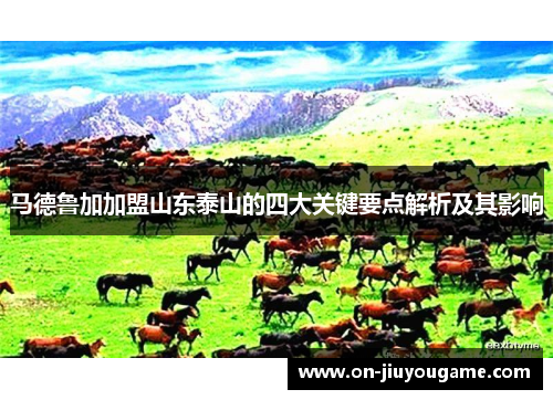 马德鲁加加盟山东泰山的四大关键要点解析及其影响