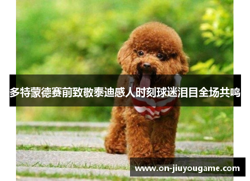 多特蒙德赛前致敬泰迪感人时刻球迷泪目全场共鸣