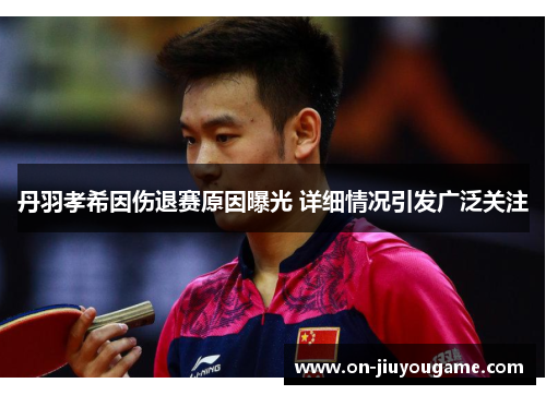 丹羽孝希因伤退赛原因曝光 详细情况引发广泛关注