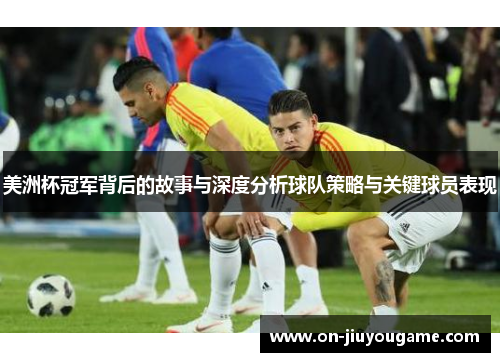 美洲杯冠军背后的故事与深度分析球队策略与关键球员表现 美洲杯冠军背后的故事与深度分析球队策略与关键球员表现